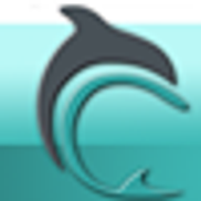 Dolphin Financial Group, Clearwater FL