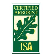 Forest Green Tree Service