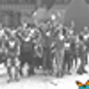The Montessori School of Englewood