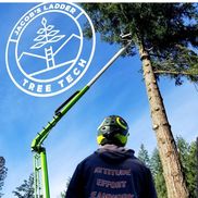 Jacob's Ladder Tree Tech