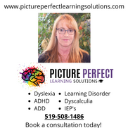 Picture Perfect Learning Solutions