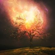 WildFire Auction & Estate Sale Company, LLC