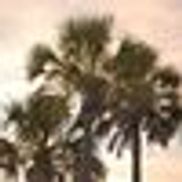 The Mitchell Group, Inc., Myrtle Beach SC