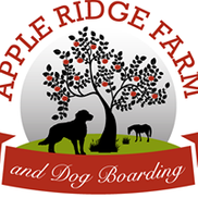 Apple Ridge Farm Dog Daycare and Boarding