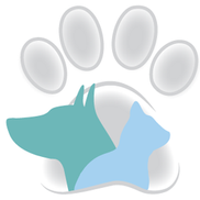 glen veterinary clinic