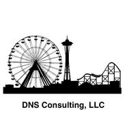 DNS Safety Consulting, LLC