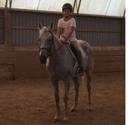 Destiny Equestrian Complex