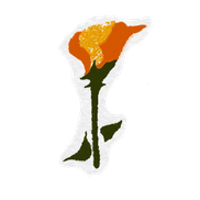 Golden Poppy Inc