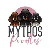 Mythos Poodles