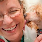 East-West Animal Hospital