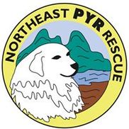 NORTHEAST PYR RESCUE