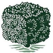 Boxwood Partners