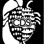 Cochenille Design Studio