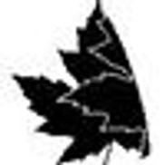Turning Leaf Auto Repair