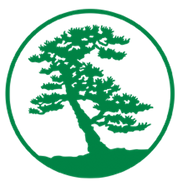 Shorepine Wealth Management