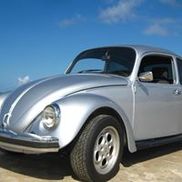 Jason's Bug Ranch - Winter Garden, FL - Alignable