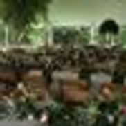 Mattson's Custom Catering and Event Planning