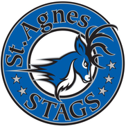 Saint Agnes School