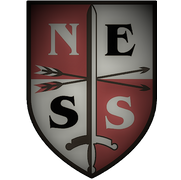 Nes Solutions