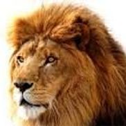 Courageous Home Care, LLC