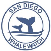 San Diego Whale Watch