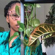 Kyisha Creates