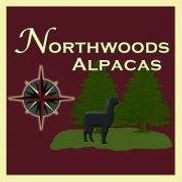 Alpaca Leggings – Northwoods Alpacas