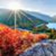 Loon Mountain Real Estate Co.