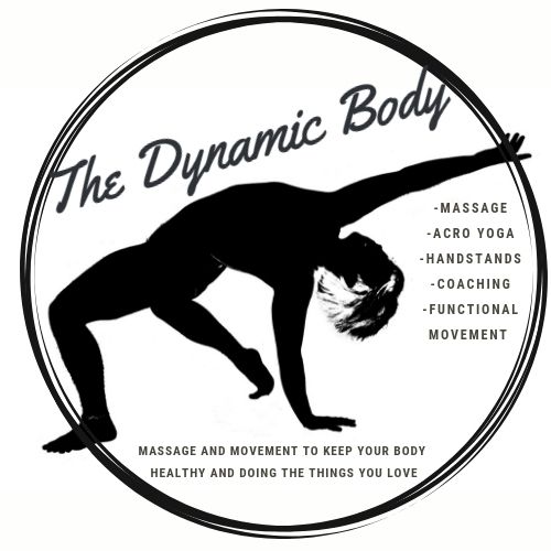 The Dynamic Body Banner Elk Area Alignable