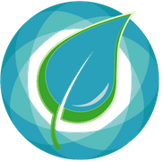 Levin Occupational Therapy