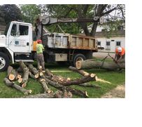 Hand-Shake Tree Service
