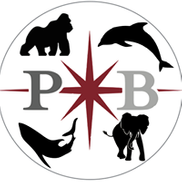 Precision Behavior