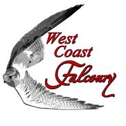 West Coast Falconry