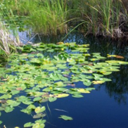 Atlantic Environmental Consulting Services, LLC