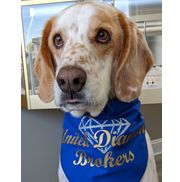 United Diamond Brokers