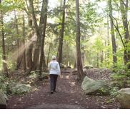 forestbathingwithbeth.com