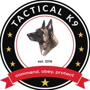 Tactical K-9 