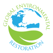 Global Environment Restoration