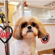Paws R US Pet Grooming - Keyport, NJ - Alignable