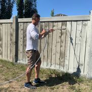 Work of art contracting Inc. Painting specialist.
