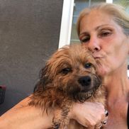 Down Home Dog Grooming