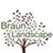 Braun Landscape