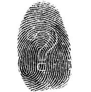 AAA Background Checks