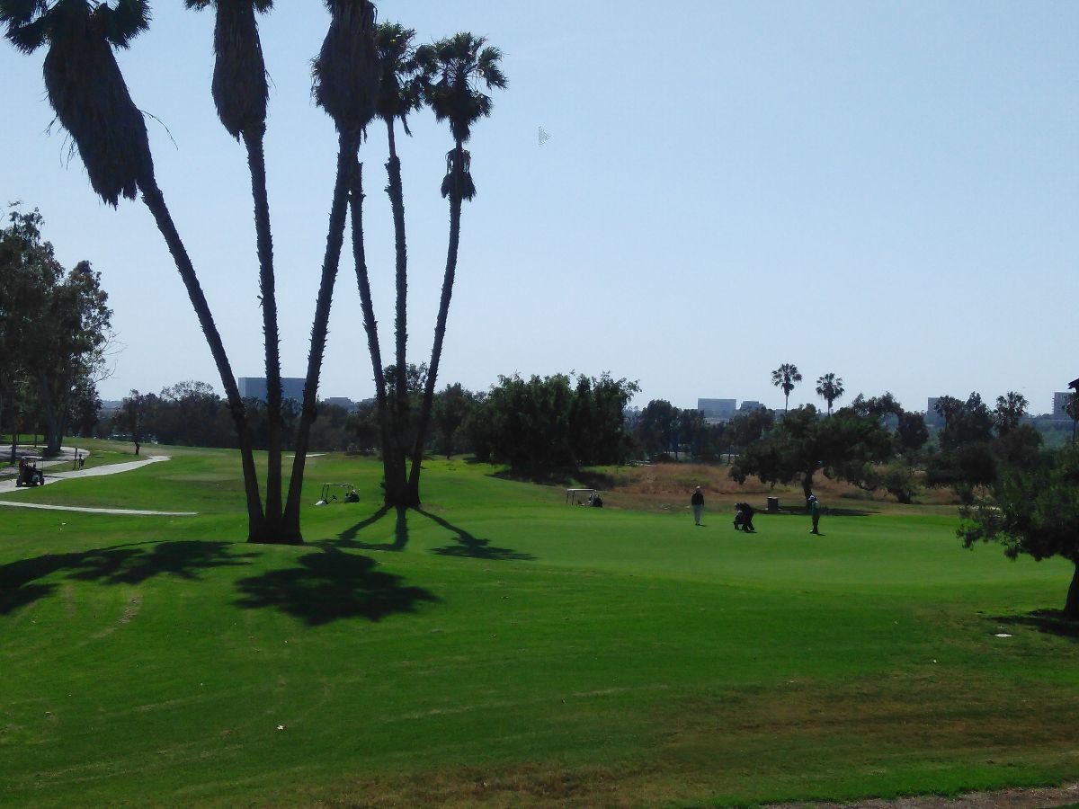 Aloha Antiques And Estate Sales - Gerrit Macey, Capistrano Beach CA