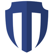 Mangold Security, LLC