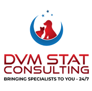 DVM STAT Consulting