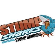 Stump Sharks
