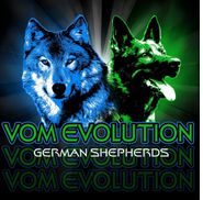 Nikki Banfield's School for K-9's