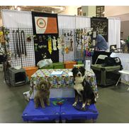 Oh, Behave! Pet Training & Behavior Solutions