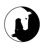 In Harmony with the Horse Horsemanship